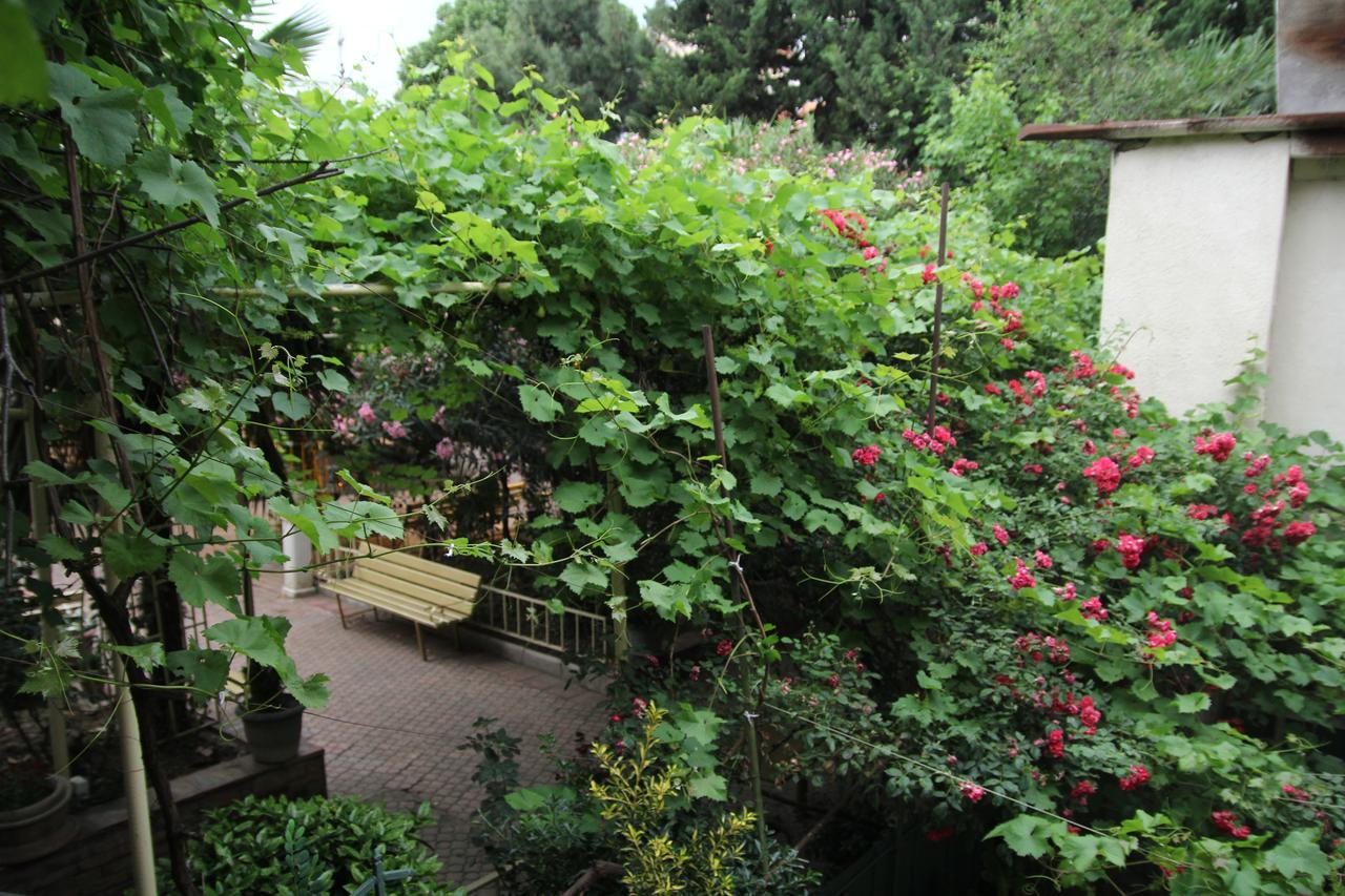 Guesthouse Different Тбилиси Экстерьер фото