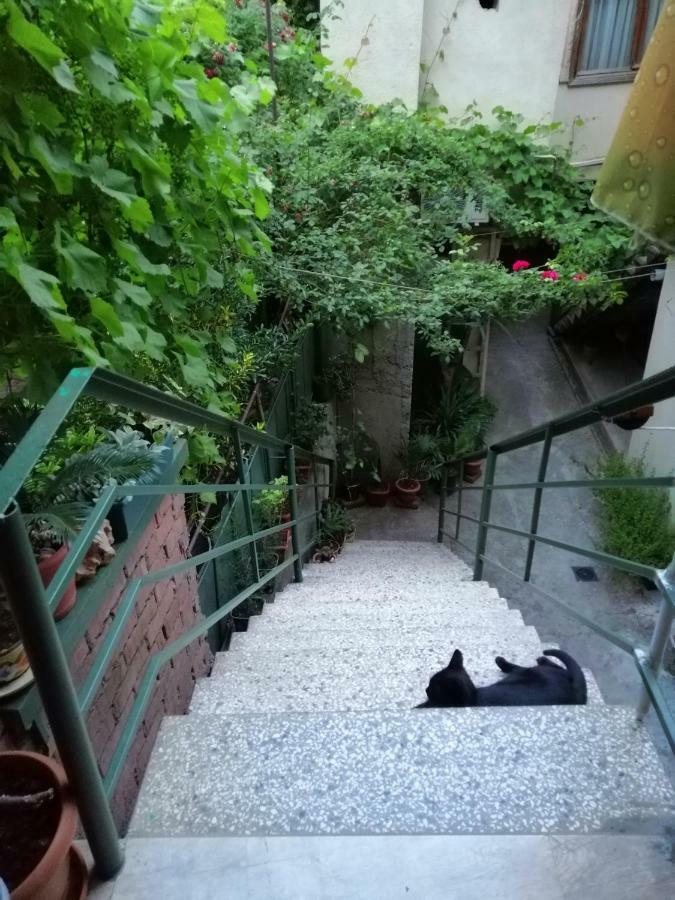 Guesthouse Different Тбилиси Экстерьер фото